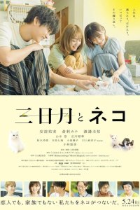 Полумесяц и кот (2024)